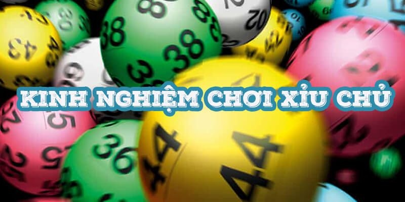 Mẹo soi xỉu chủ từ chuyên gia